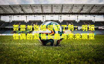 芸蕾与张楠领证了吗：羽坛佳偶的爱情长跑与未来展望