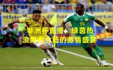 非洲杯直播:绿茵热浪席卷大陆的激情盛宴