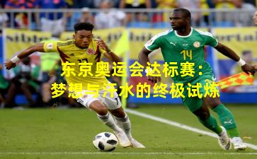 东京奥运会达标赛:梦想与汗水的终极试炼