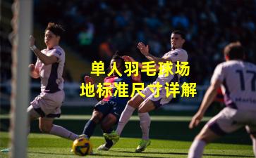  单人羽毛球场地标准尺寸详解