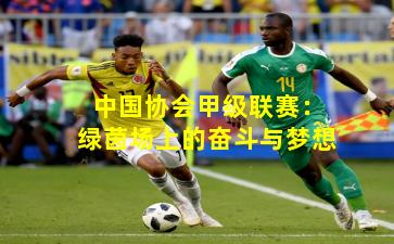 中国协会甲级联赛:绿茵场上的奋斗与梦想